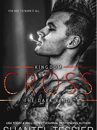 The Dark Kingdom Series by Shantel Tessier - 5 Book Bundle - Paperbacks