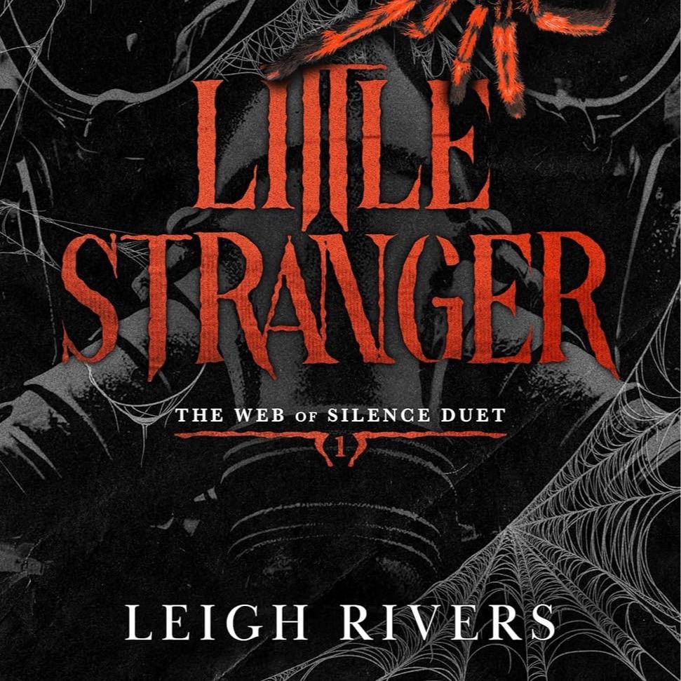 Little Stranger by Leigh Rivers - Paperback