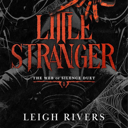 Little Stranger by Leigh Rivers - Paperback
