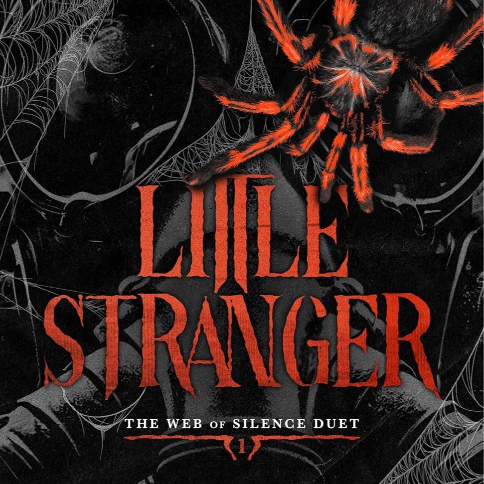 Little Stranger by Leigh Rivers - Paperback