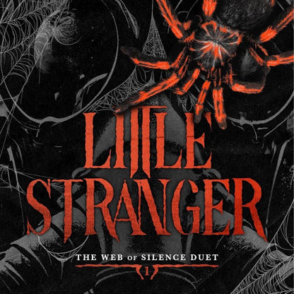 Little Stranger by Leigh Rivers - Paperback
