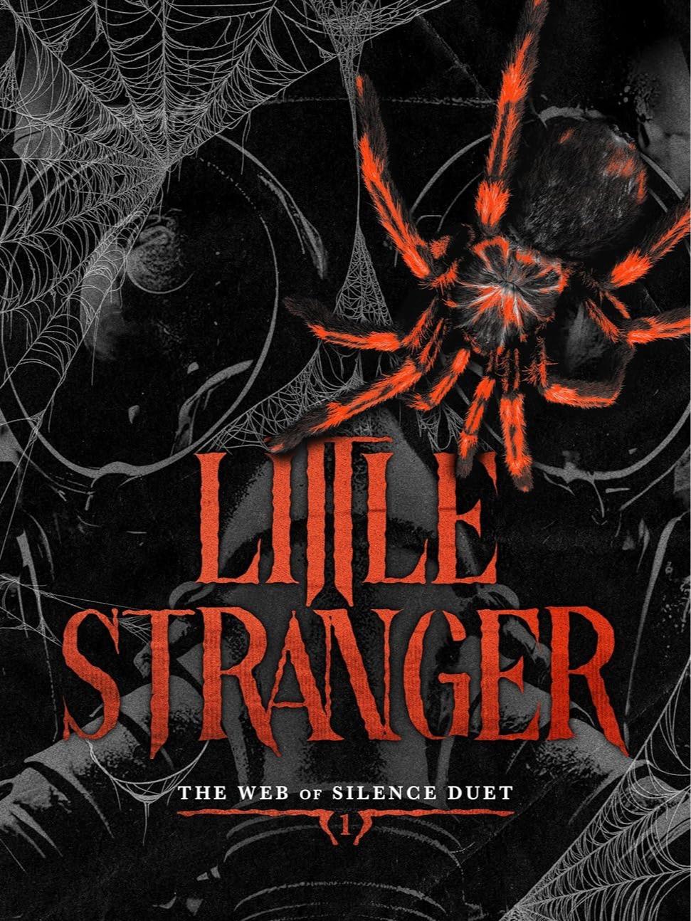Little Stranger by Leigh Rivers - Paperback