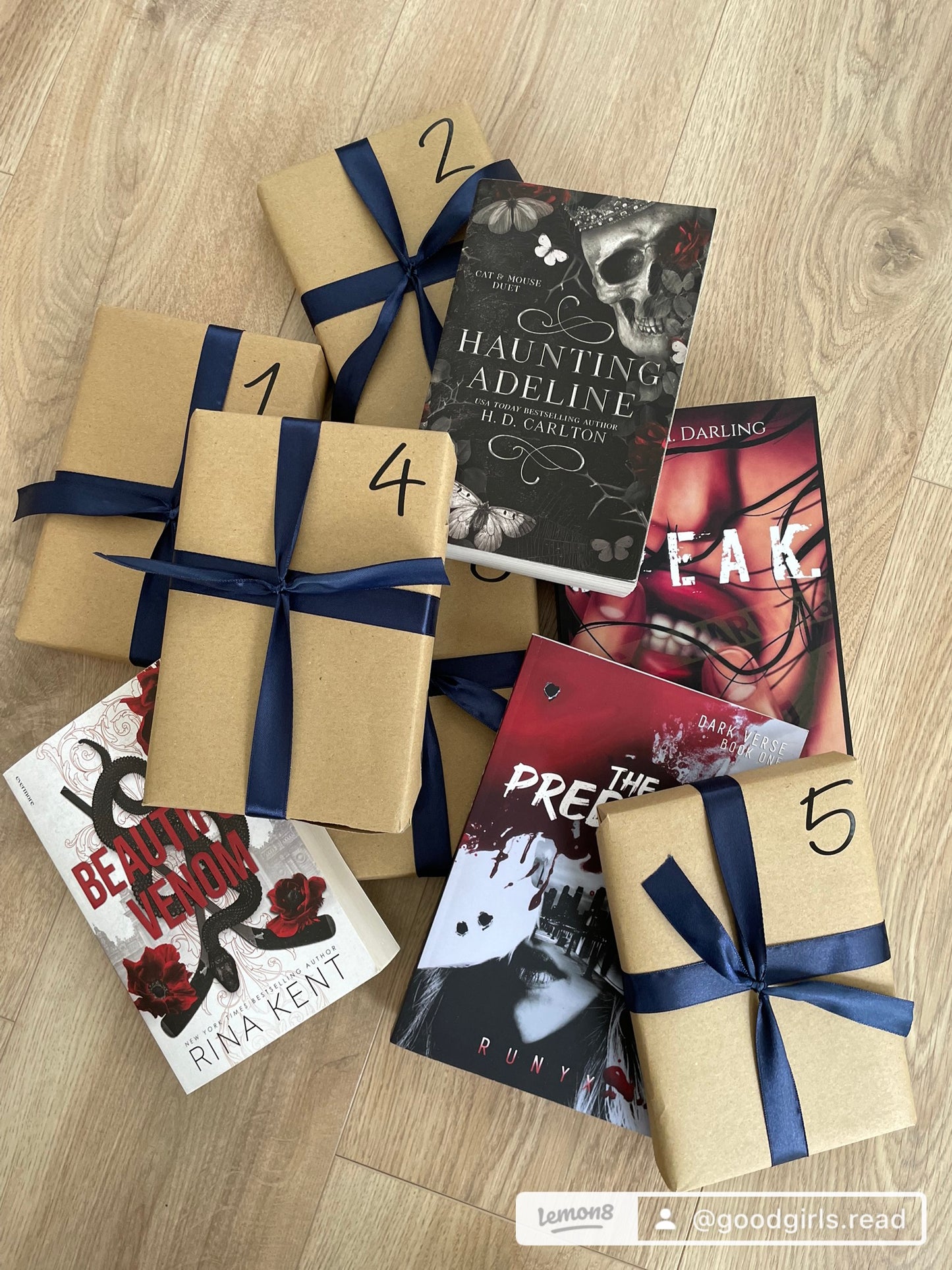 Dark Romance Book Advent Calendar