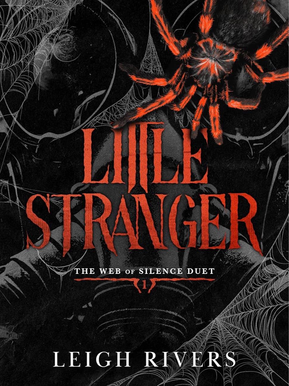 Little Stranger by Leigh Rivers - Paperback
