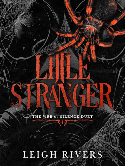 Little Stranger by Leigh Rivers - Paperback