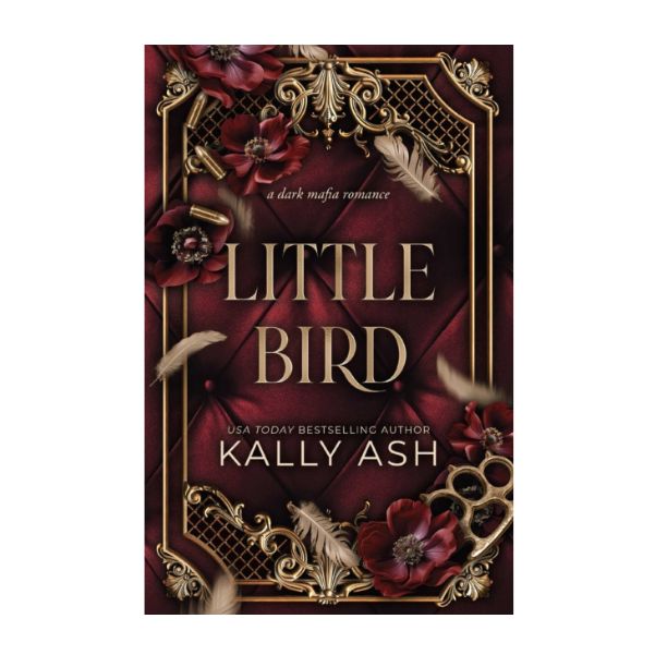 PRE ORDER - Little Bird by Kally Ash - Paperback - 29th Jan 2026 - Book