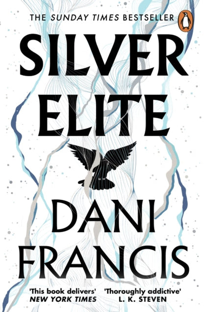 PRE ORDER - Silver Elite by Dani Francis - Paperback - 26th Feb 2026 - Book