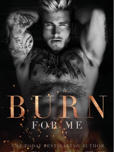 Spitfire Series by Sara Cate - Paperback - 2 Book Bundle - Book